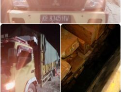 Satu Unit Truck Mengakut Kayu Dari Somel Milik Lukas Apo Dari Kabupaten Kapuas Hulu Bebas Beroperasi